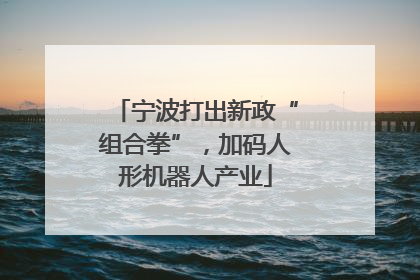 宁波打出新政“组合拳”，加码人形机器人产业