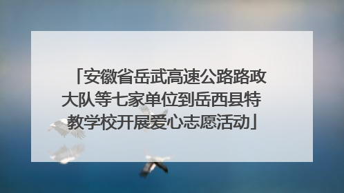 安徽省岳武高速公路路政大队等七家单位到岳西县特教学校开展爱心志愿活动