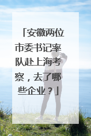 安徽两位市委书记率队赴上海考察，去了哪些企业？