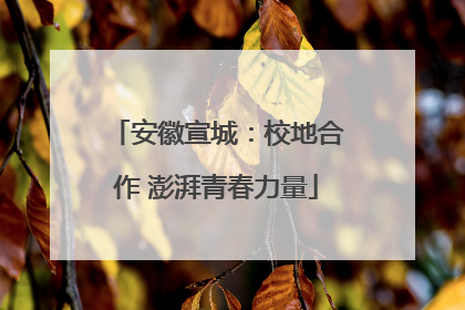 安徽宣城：校地合作 澎湃青春力量