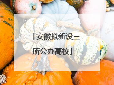 安徽拟新设三所公办高校