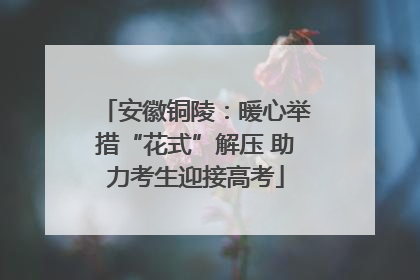 安徽铜陵：暖心举措“花式”解压 助力考生迎接高考