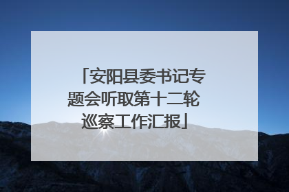 安阳县委书记专题会听取第十二轮巡察工作汇报