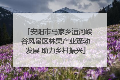 安阳市马家乡洹河峡谷风景区林果产业蓬勃发展 助力乡村振兴