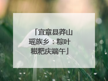 宜章县莽山瑶族乡：粽叶糍粑庆端午