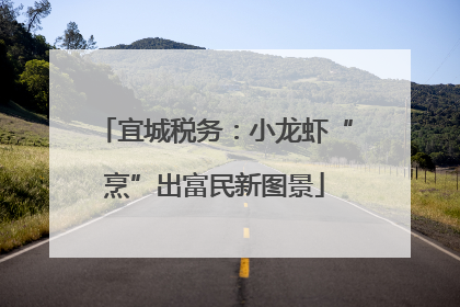 宜城税务：小龙虾“烹”出富民新图景