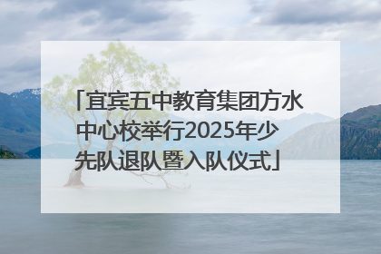 宜宾五中教育集团方水中心校举行2025年少先队退队暨入队仪式
