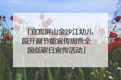 宜宾屏山金沙江幼儿园开展节能宣传周暨全国低碳日宣传活动