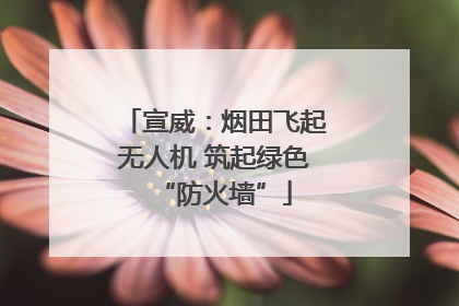宣威：烟田飞起无人机 筑起绿色“防火墙”