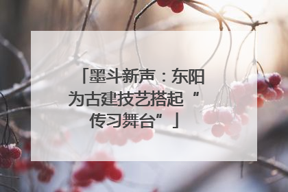 墨斗新声：东阳为古建技艺搭起“传习舞台”