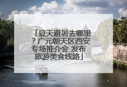 夏天避暑去哪里？广元朝天区西安专场推介会 发布旅游美食线路