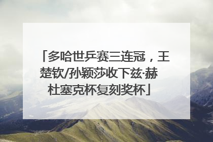 多哈世乒赛三连冠，王楚钦/孙颖莎收下兹·赫杜塞克杯复刻奖杯