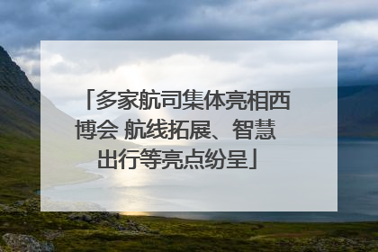 多家航司集体亮相西博会 航线拓展、智慧出行等亮点纷呈