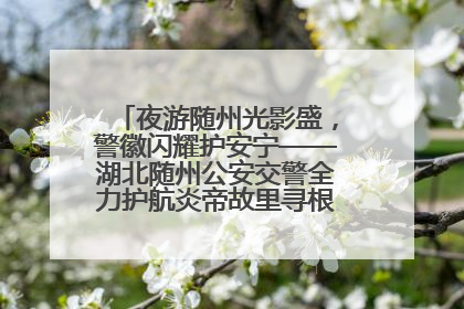 夜游随州光影盛，警徽闪耀护安宁——湖北随州公安交警全力护航炎帝故里寻根节夜游活动侧记