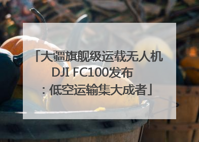 大疆旗舰级运载无人机DJI FC100发布：低空运输集大成者