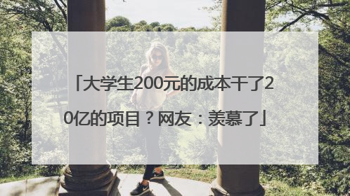 大学生200元的成本干了20亿的项目？网友：羡慕了