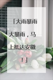 大雨暴雨大暴雨，马上抵达安徽！