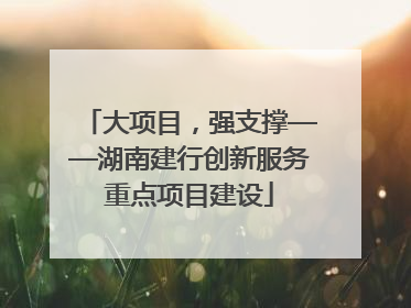 大项目，强支撑——湖南建行创新服务重点项目建设