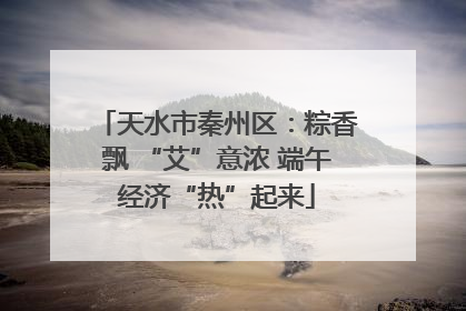 天水市秦州区：粽香飘 “艾”意浓 端午经济“热”起来