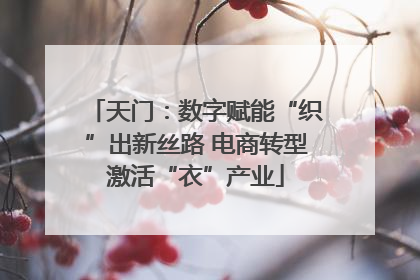天门：数字赋能“织”出新丝路 电商转型激活“衣”产业