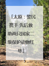 太原：警民携手 先后救助两只国家二级保护动物红隼