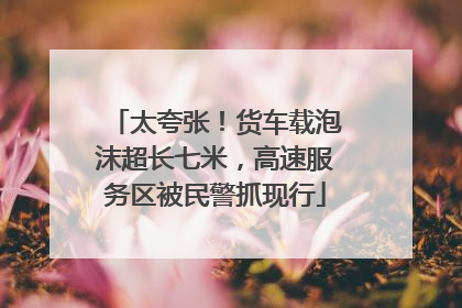 太夸张！货车载泡沫超长七米，高速服务区被民警抓现行