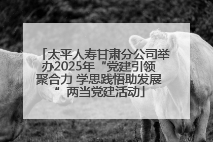 太平人寿甘肃分公司举办2025年“党建引领聚合力 学思践悟助发展”两当党建活动