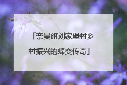 奈曼旗刘家堡村乡村振兴的蝶变传奇