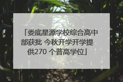 娄底星源学校综合高中部获批 今秋开学开学提供270 个普高学位
