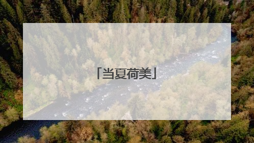 当夏荷美