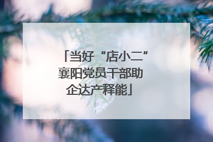 当好“店小二” 襄阳党员干部助企达产释能
