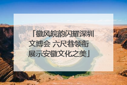 徽风皖韵闪耀深圳文博会 六尺巷领衔展示安徽文化之美