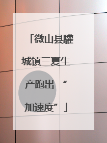 微山县驩城镇三夏生产跑出 “加速度”