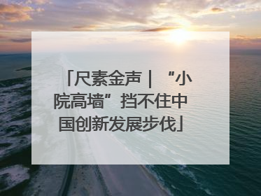 尺素金声｜“小院高墙”挡不住中国创新发展步伐