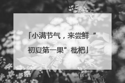 小满节气，来尝鲜“初夏第一果”枇杷
