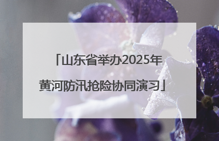 山东省举办2025年黄河防汛抢险协同演习