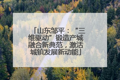 山东邹平：“三维驱动”锻造产城融合新典范，激活城镇发展新动能