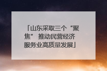 山东采取三个“聚焦” 推动民营经济服务业高质量发展