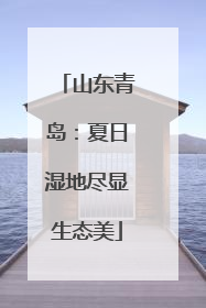 山东青岛：夏日湿地尽显生态美