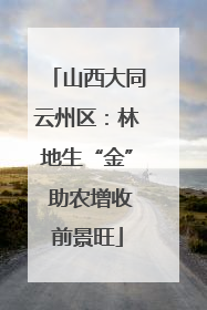 山西大同云州区：林地生“金” 助农增收前景旺