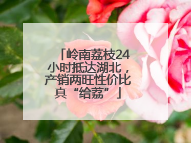 岭南荔枝24小时抵达湖北，产销两旺性价比真“给荔”