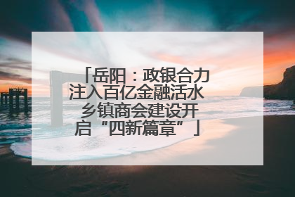 岳阳：政银合力注入百亿金融活水 乡镇商会建设开启“四新篇章”