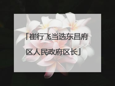 崔行飞当选东昌府区人民政府区长
