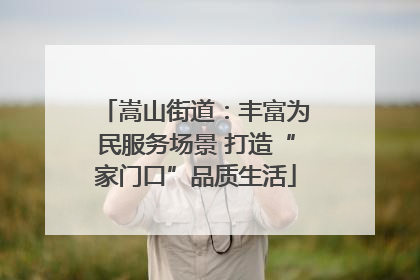 嵩山街道：丰富为民服务场景 打造“家门口”品质生活