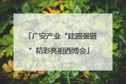 广安产业“建圈强链”精彩亮相西博会