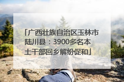 广西壮族自治区玉林市陆川县：3900多名本土干部回乡解纷促和