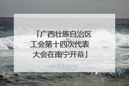 广西壮族自治区工会第十四次代表大会在南宁开幕