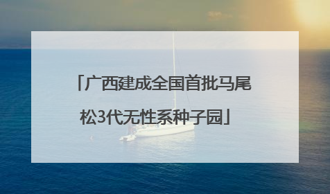 广西建成全国首批马尾松3代无性系种子园