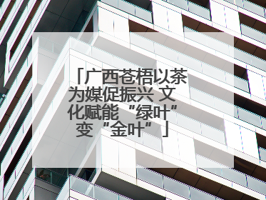 广西苍梧以茶为媒促振兴 文化赋能“绿叶”变“金叶”