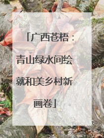 广西苍梧：青山绿水间绘就和美乡村新画卷